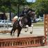 WTHJA: Tennessee Hunter Jumper Classic